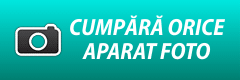 torrent